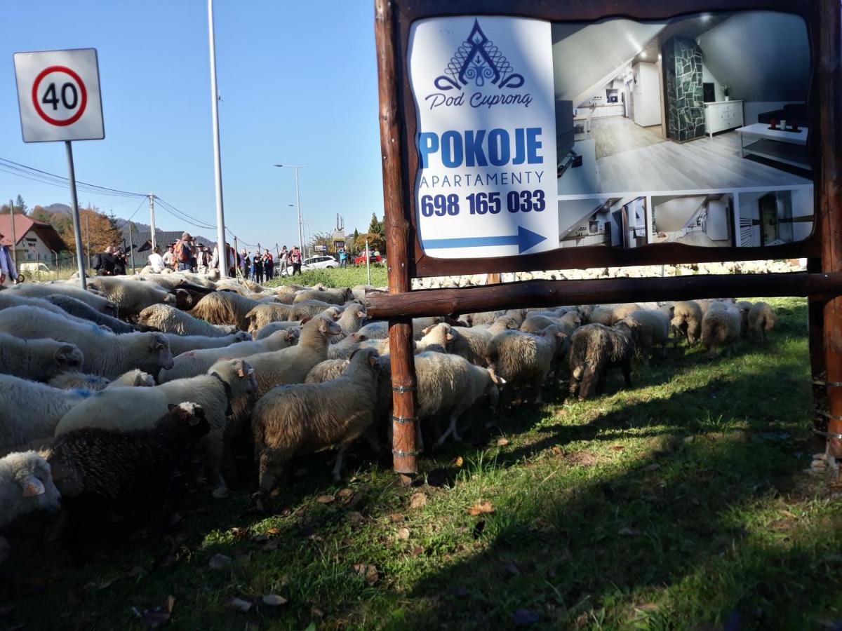 Pokoje Goscinne Pod Cuprona Szczawnica Eksteriør billede